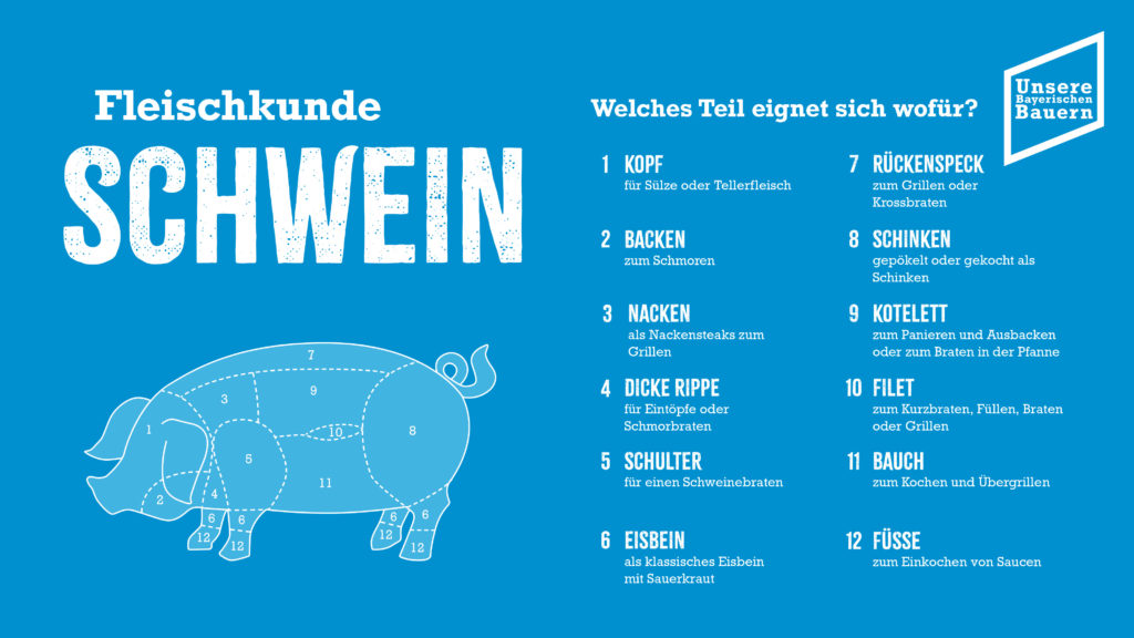 Foto: Schwein aktuell