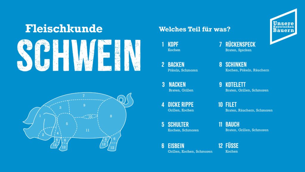 Foto: Fleischkunde Schwein neu